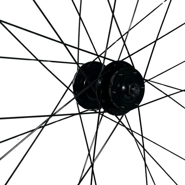 Wheelset 29inch MTB - Giant ETRTO 622x21 - MAXXIS - Set for Mountainbike
