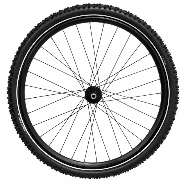 XLC 29" MTB Achterwiel Zwart 32G – XLC Evo 6-Bouts | Steekas 148 mm | Mountain X 29x2.25