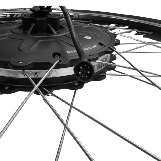 26 inch Rear Wheel Motor for Babboe Max-E | 250W | 8-pin | 8-speed