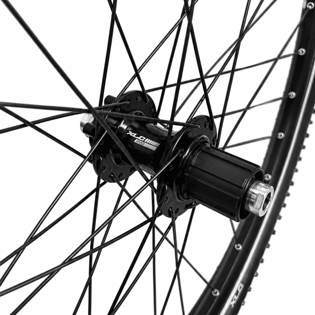 XLC 29" MTB Achterwiel Zwart 32G – XLC Evo 6-Bouts | Steekas 148 mm | Mountain X 29x2.25