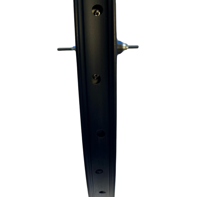 Achterwiel 28" Nexus 8 SG-6001-8R | Inter 8 | Geschikt voor rollerbrake | Brede velg 622
