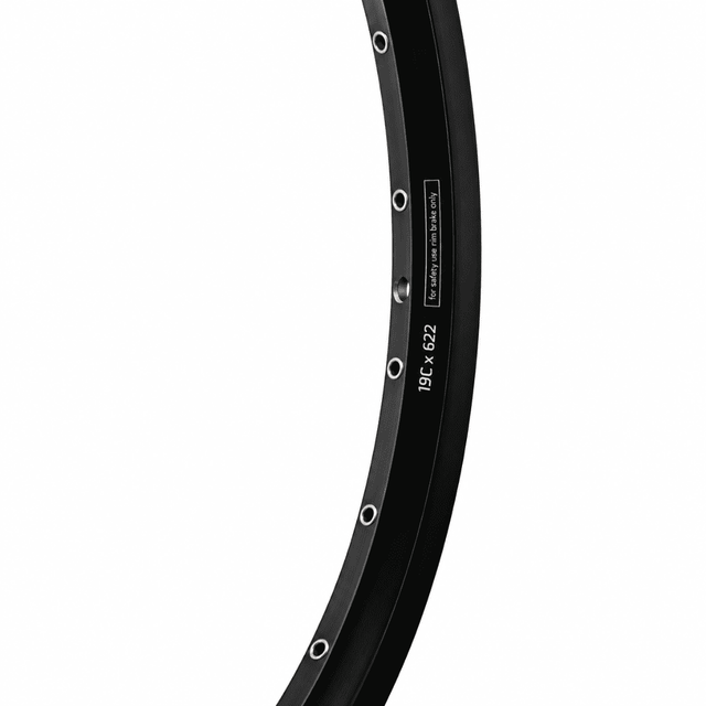 Ryde ZAC 2000 Disc 28" / 622-19C Velg 36G – Dubbelwandig Aluminium | Mat Zwart